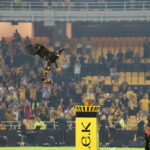 egkainia-aek-etairia-diorganosis-5